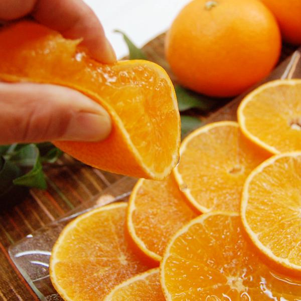 媛まどんな ギフト用 3ｋｇ |  | 04