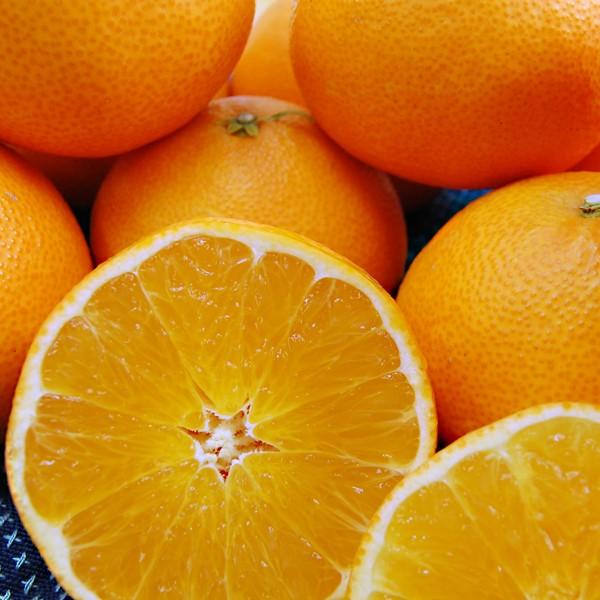 媛まどんな お得用 10kg : 愛媛だいすけ果樹園 - 通販 - Yahoo 媛まどんな お得用 10kg : 愛媛だいすけ果樹園 - 通販 - Yahoo