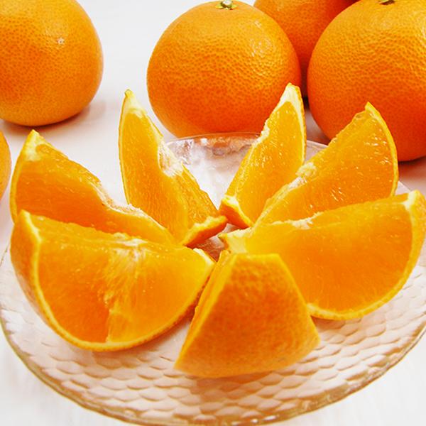 媛まどんな お得用 10ｋｇ |  | 05