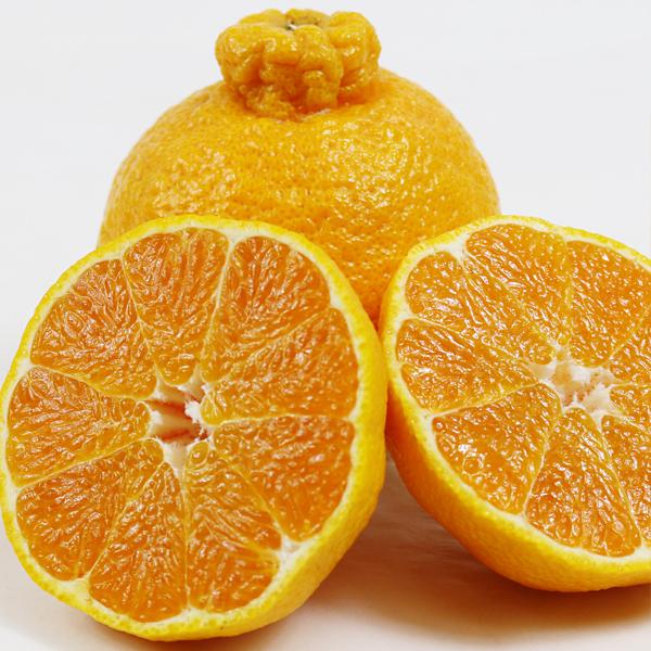 愛媛県産 デコすけ お得用 10ｋｇ |  | 03