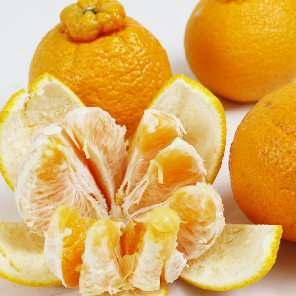 愛媛県産 デコすけ お得用 10ｋｇ |  | 04