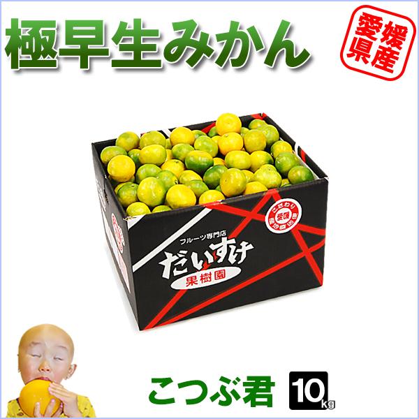 極早生みかん こつぶ君 10kg : 愛媛だいすけ果樹園 - 通販 - Yahoo