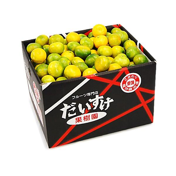源助!樹熟大坊みかん(秀品) 7kg みかんジュース ジョイン 熟選工房 果汁100% 900ml ストレート 6