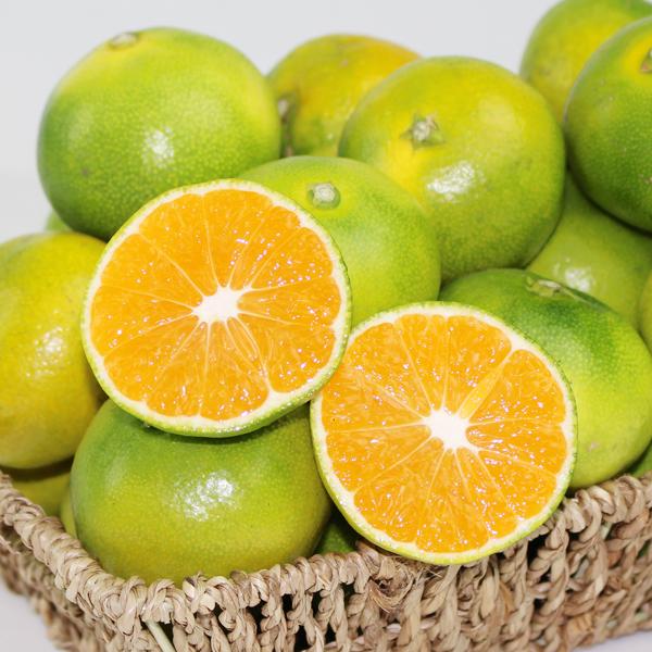 極早生みかん こつぶ君 10kg : 愛媛だいすけ果樹園 - 通販 - Yahoo