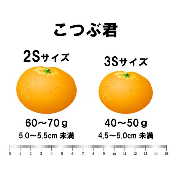 極早生みかん こつぶ君 10kg : 愛媛だいすけ果樹園 - 通販 - Yahoo