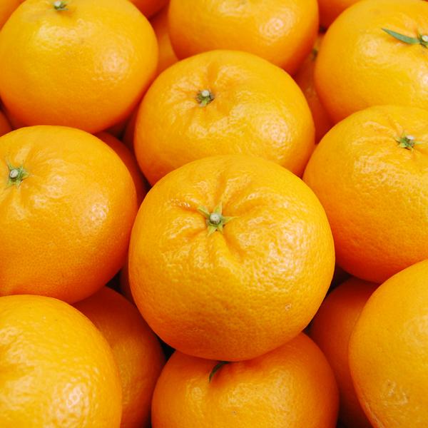 はれひめ ギフト用 5ｋｇ |  | 02