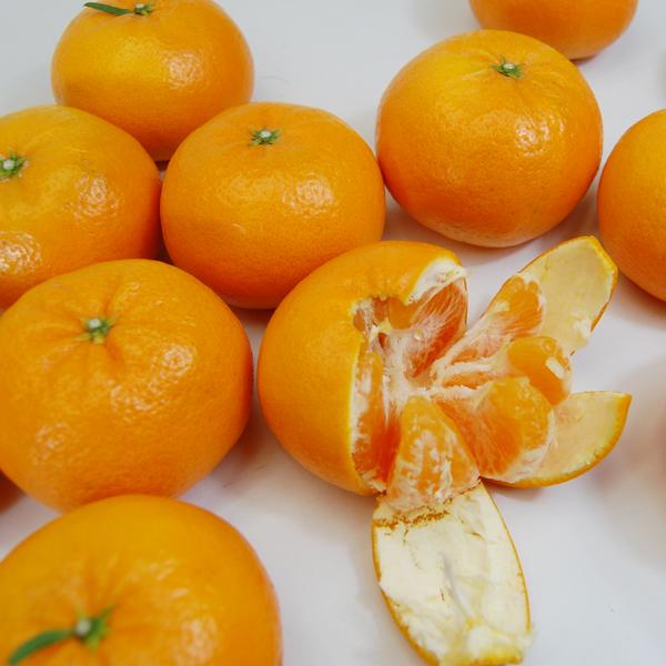 はれひめ ギフト用 5ｋｇ |  | 04