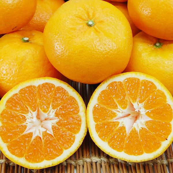 はれひめ お得用 5ｋｇ |  | 03