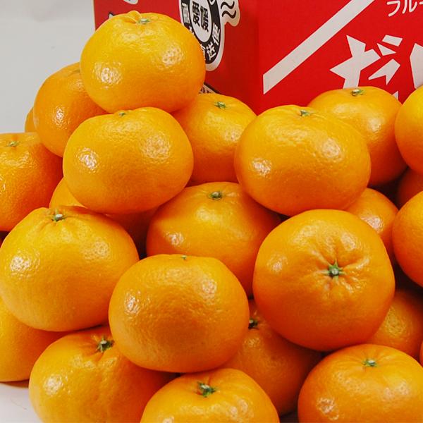 はれひめ お得用 5ｋｇ |  | 01