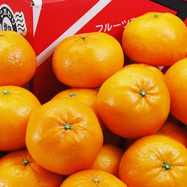 はれひめ お得用 5ｋｇ |  | 01