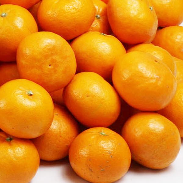 はれひめ お得用 5ｋｇ |  | 02