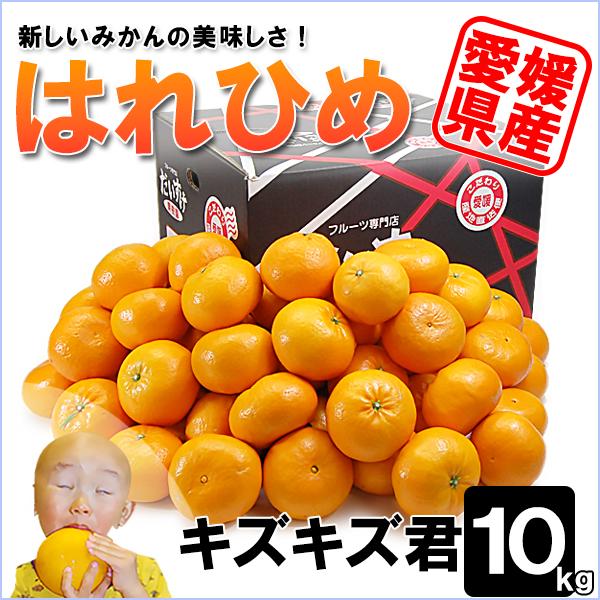 はれひめ キズキズ君 10ｋｇ | 