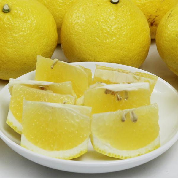 愛媛県産 はるか ギフト用 5kg : 愛媛だいすけ果樹園 - 通販 - Yahoo