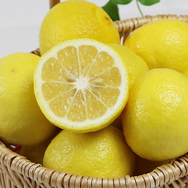 愛媛県産 はるか ギフト用 5kg : 愛媛だいすけ果樹園 - 通販 - Yahoo