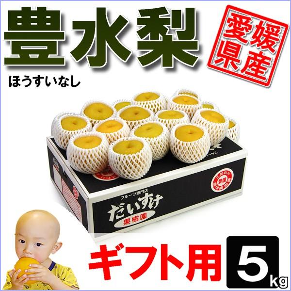 豊水梨 ギフト用 5kg | 