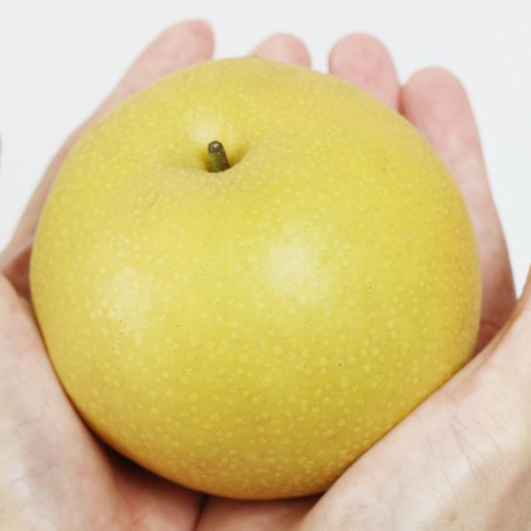 豊水梨 ギフト用 5kg |  | 02