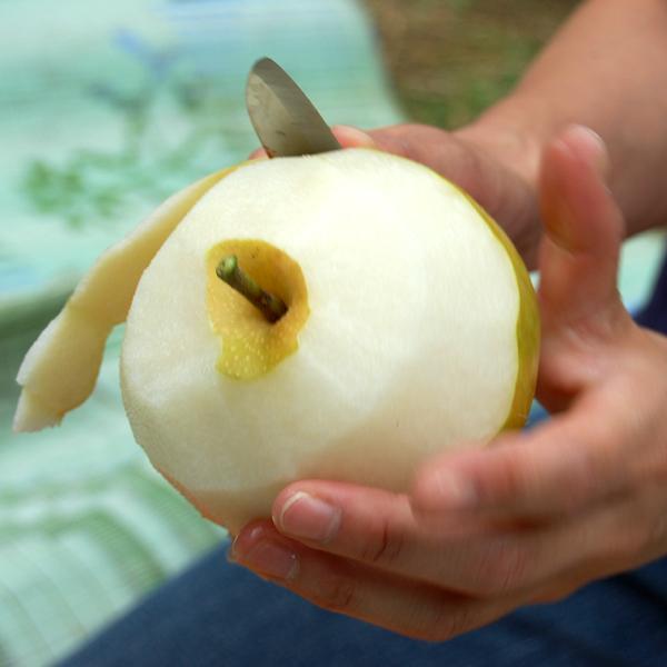 豊水梨 ギフト用 10kg |  | 01