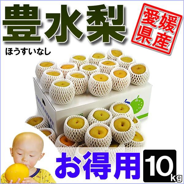 豊水梨 お得用 10kg | 