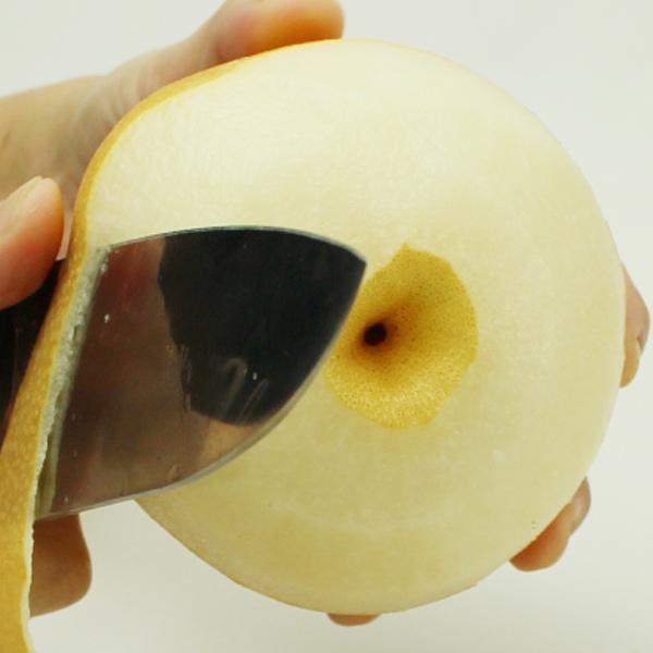 豊水梨 こつぶ君 10kg |  | 04
