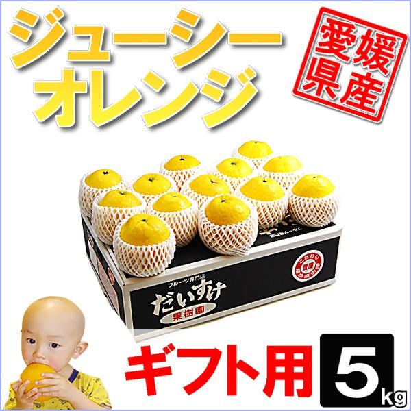 ジューシーオレンジ　ギフト用5ｋｇ | 