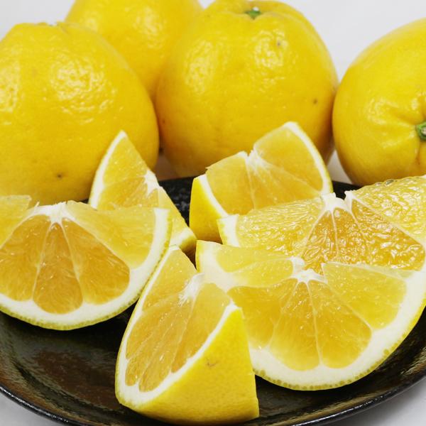 ジューシーオレンジ　ギフト用5ｋｇ |  | 05