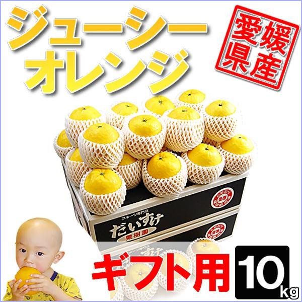 ジューシーオレンジ　ギフト用10ｋｇ | 