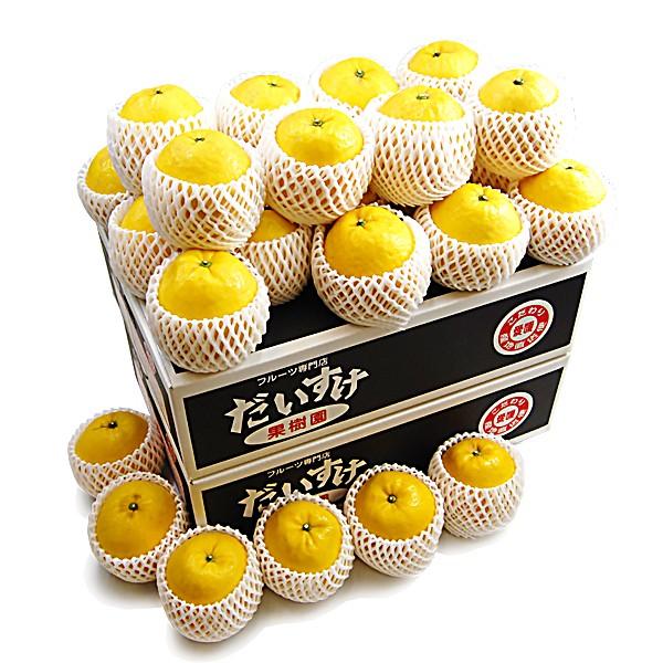 ジューシーオレンジ　ギフト用10ｋｇ |  | 01