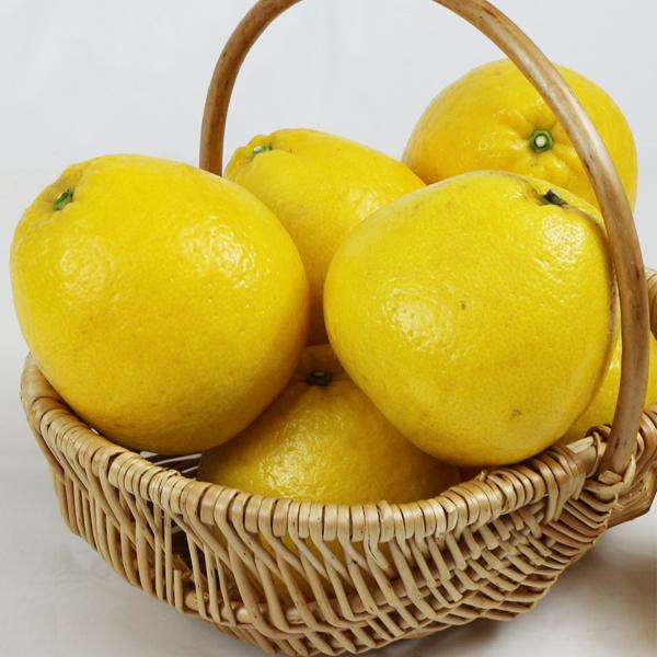 ジューシーオレンジ　ギフト用10ｋｇ |  | 03