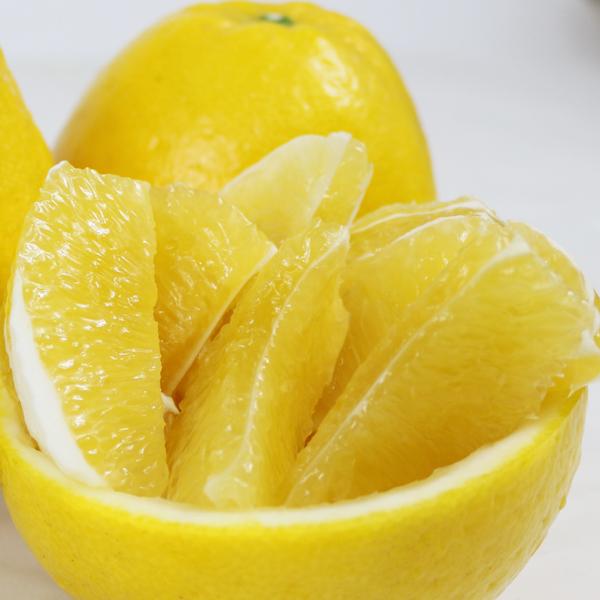 ジューシーオレンジ　ギフト用10ｋｇ |  | 06