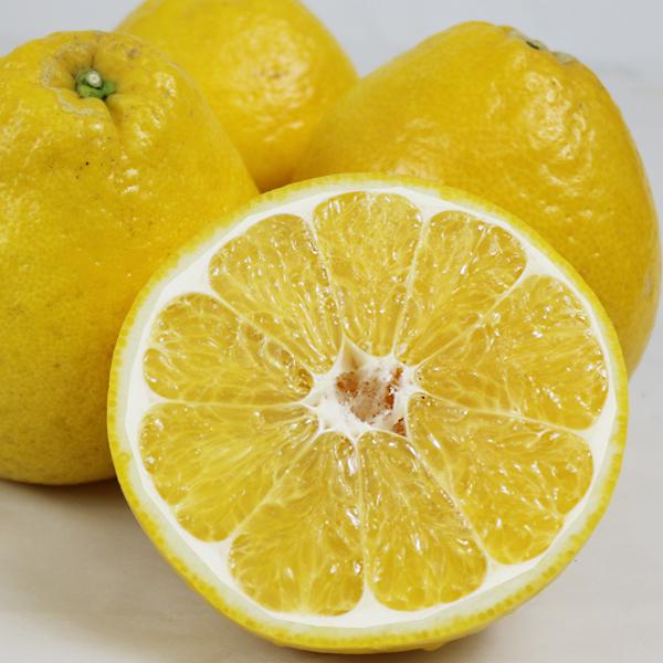 ジューシーオレンジ　ギフト用10ｋｇ |  | 07