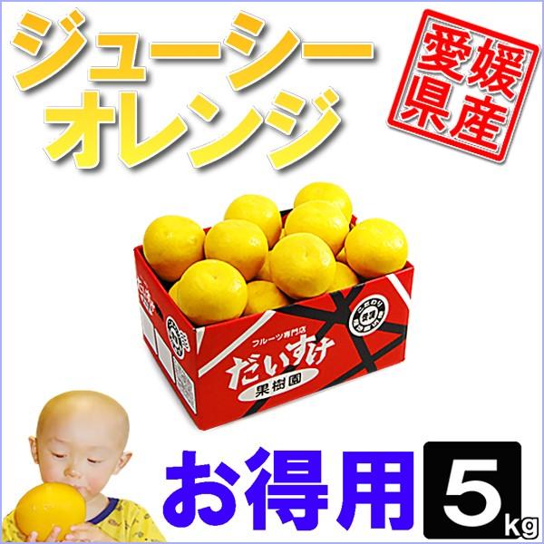 ジューシーオレンジ 【一部予約販売中】 お得用5ｋｇ 超特価