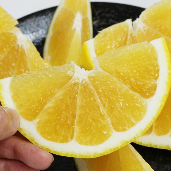 ジューシーオレンジ　お得用5ｋｇ |  | 07