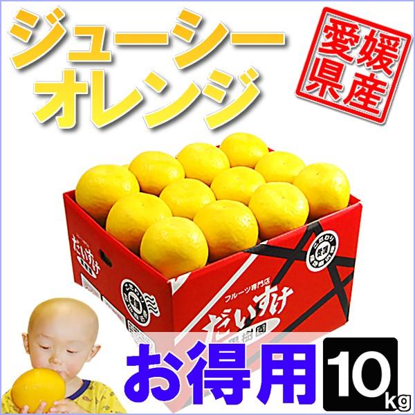 ジューシーオレンジ　お得用10ｋｇ | 