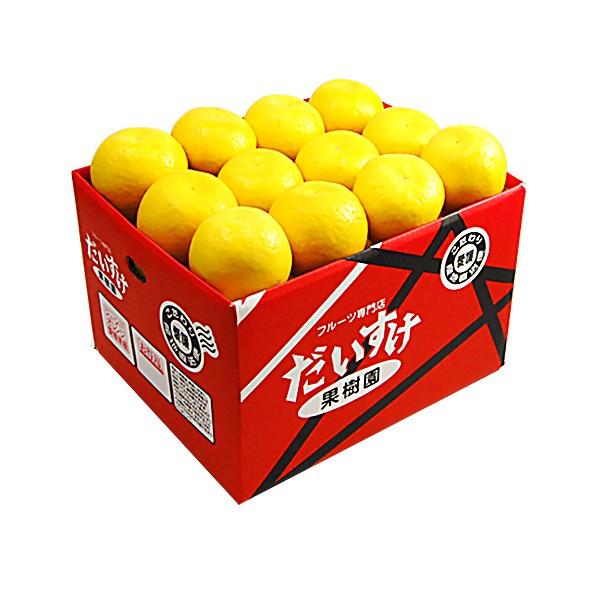 ジューシーオレンジ　お得用10ｋｇ |  | 01