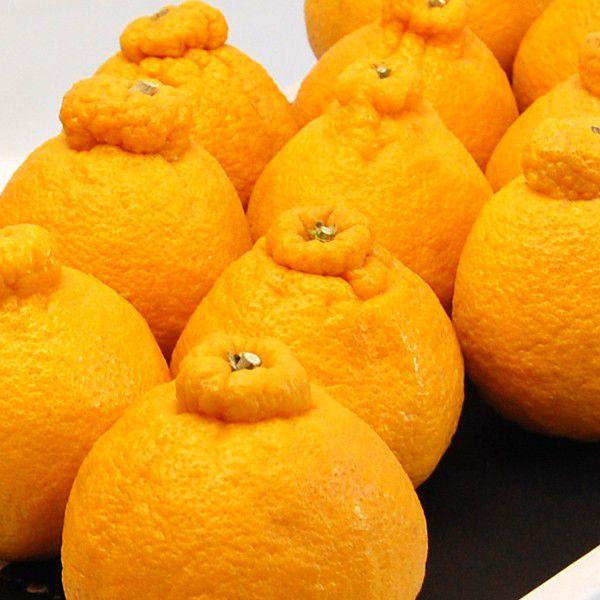 デコポンジュース12本 |  | 03