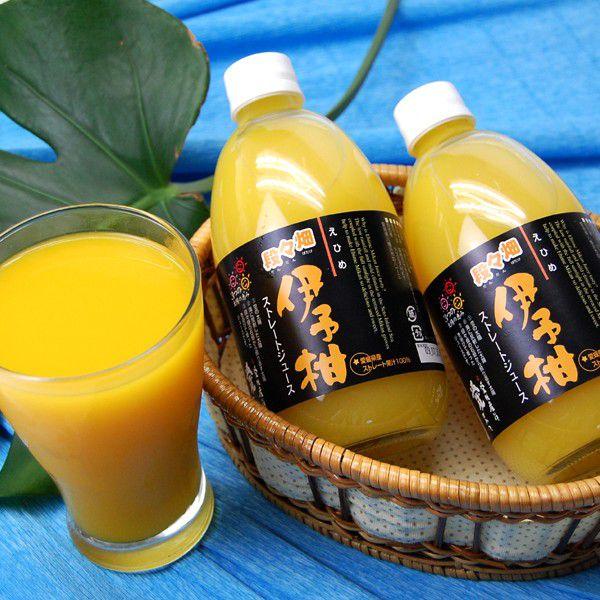愛媛県産いよかんジュース 720ml 12本セット 伊予柑（いよかん）ジュース12本 : 愛媛だいすけ果樹園 - 通販 - Yahoo