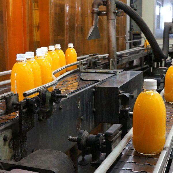 伊予柑(いよかん）ジュース6本 : 愛媛だいすけ果樹園 - 通販 - Yahoo