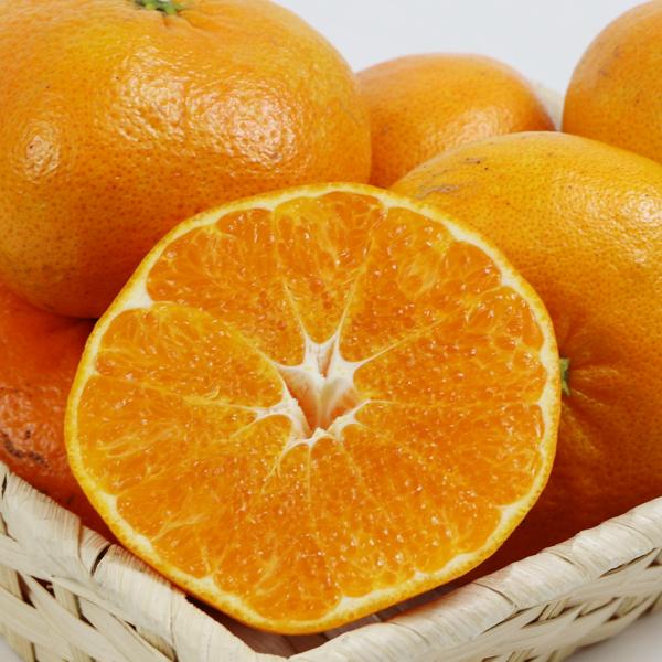 甘平 お得用 5kg : 愛媛だいすけ果樹園 - 通販 - Yahoo!ショッピング