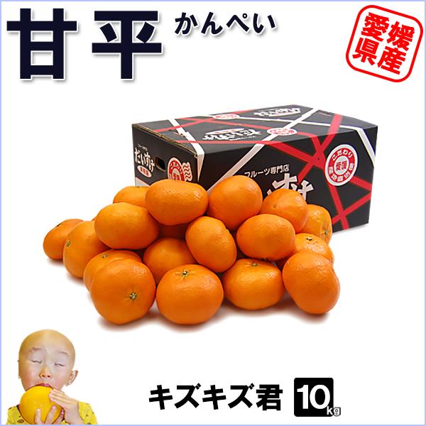 甘平 キズキズ君 5ｋｇ | 