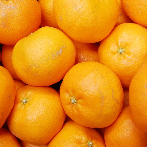 甘平 キズキズ君 5ｋｇ |  | 01