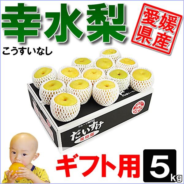 幸水梨 ギフト用 5kg | 