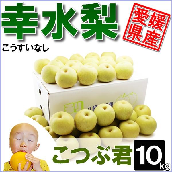 幸水梨 こつぶ君 10kg | 