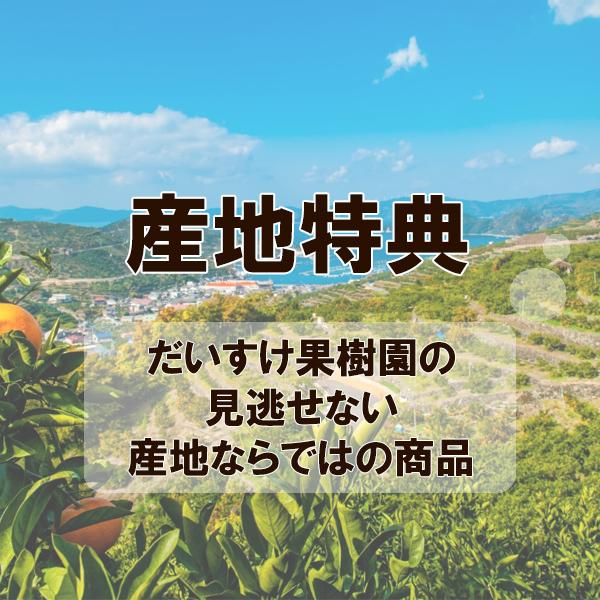 幸水梨 こつぶ君 10kg |  | 10