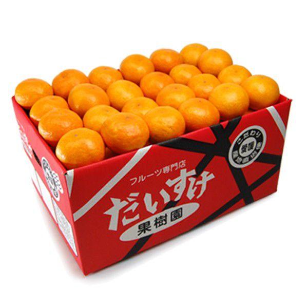 愛媛みかん ギフト用5kg : 愛媛だいすけ果樹園 - 通販 - Yahoo