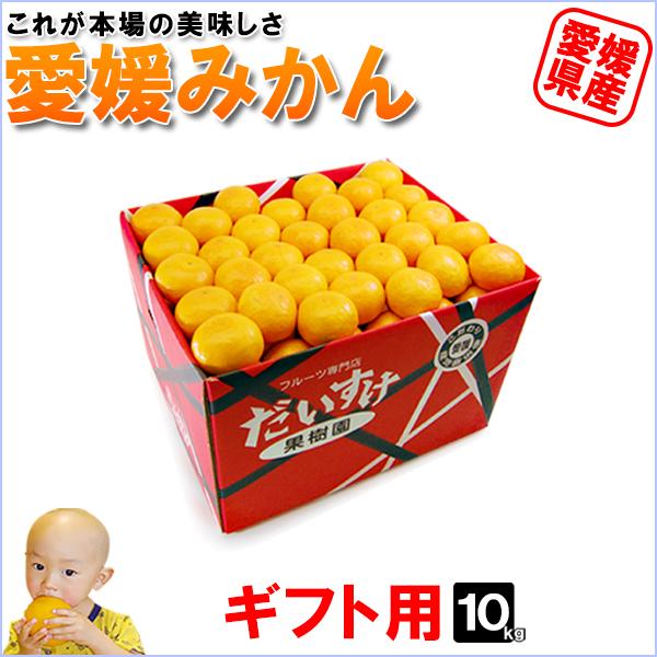 愛媛みかん お得用 10kg : 愛媛だいすけ果樹園 - 通販 - Yahoo