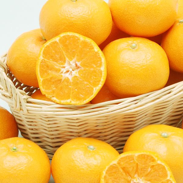 愛媛みかん お得用 10kg : 愛媛だいすけ果樹園 - 通販 - Yahoo