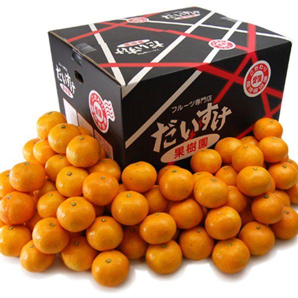 愛媛県産　48号　柑橘　　10kg 愛媛県産 家庭用 48号 柑橘 10kg - メルカリ