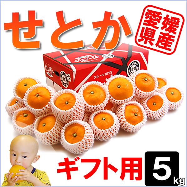 愛媛県産 せとか ギフト用 5ｋｇ | 