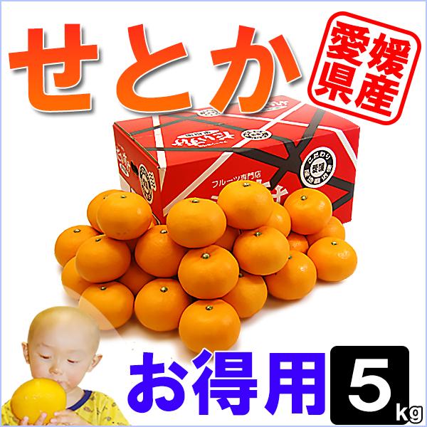 愛媛県産 せとか お得用 5ｋｇ | 