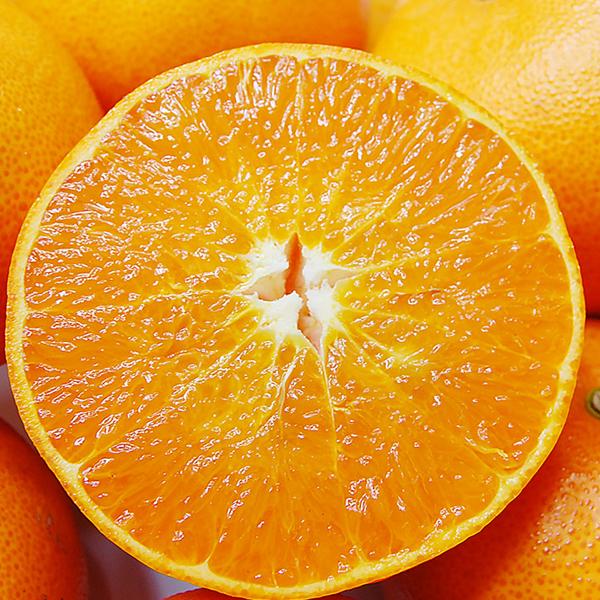 愛媛県産 せとか お得用 5ｋｇ |  | 05